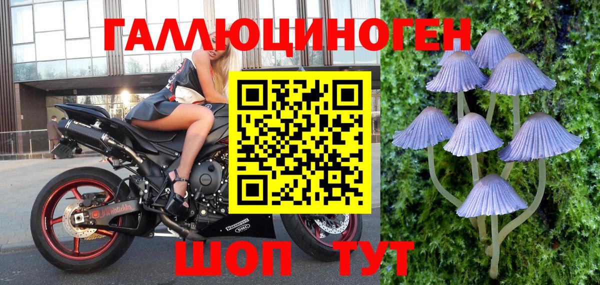 Галлюциногенные грибы мухоморы Егорьевск